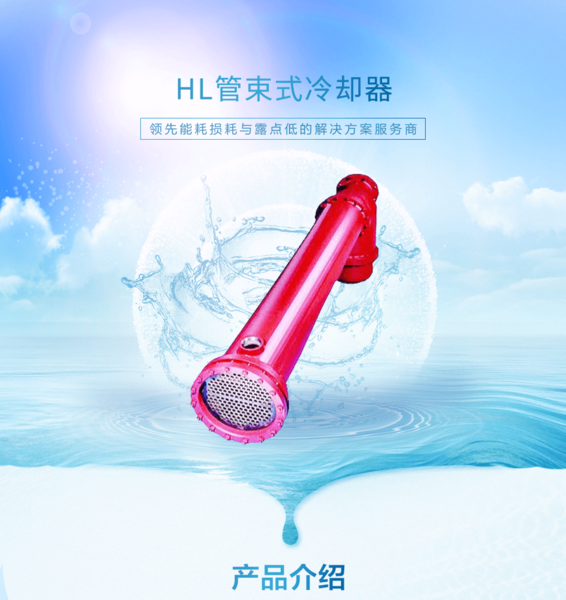 HL管束式冷却器 (2).png